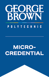 Micro-credential placeholder logo